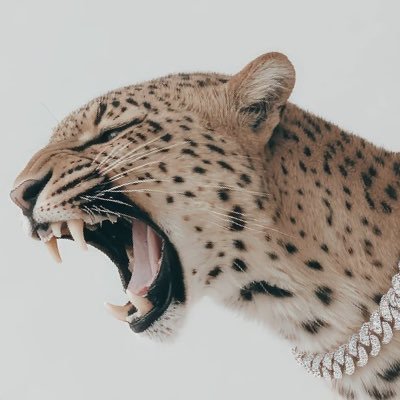 Fatherguyzed's profile picture. born for greatness.