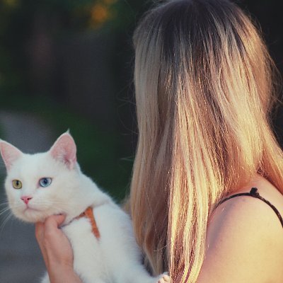 Sophie56454654's profile picture. "Living with purpose and loving with passion 💖