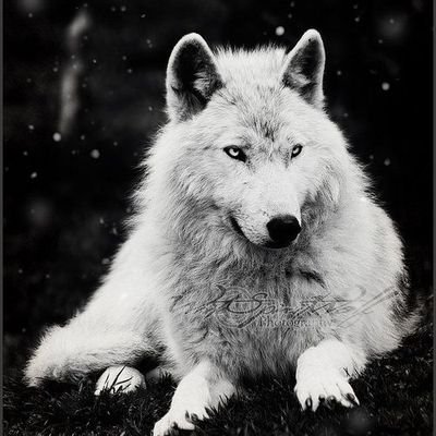 Thamiri31426257's profile picture. 