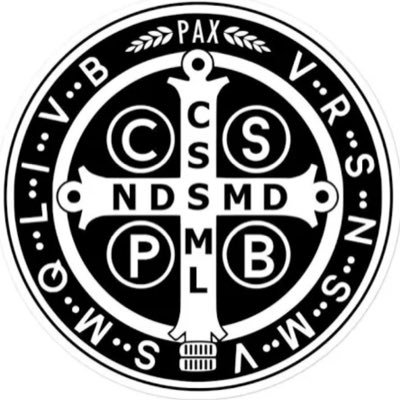 IHS ✝️ De Maria nunquam satis 🙏🏻🌹🙏🏻 Memento Mori 💀 Rosary Rattler with the Confraternity of the Holy Rosary 🕊️ 153 🐟 Making space in purgatory daily ⛪️