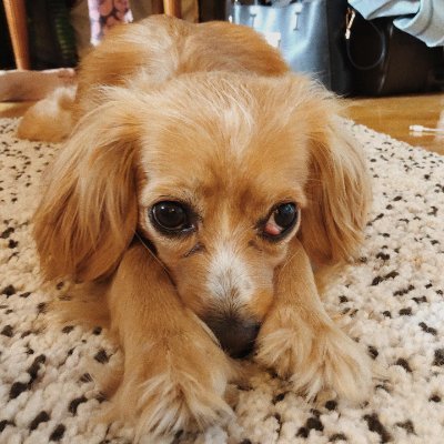 mia_miaalber's profile picture. Hey X! I’m Mia — part-time dreamer, full-time IT Manager
Here for good convos, cool ideas, and maybe a meme or two.
Follow along, let’s vibe