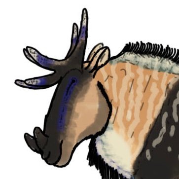 RoqueV36669's profile picture. This is Aurora !