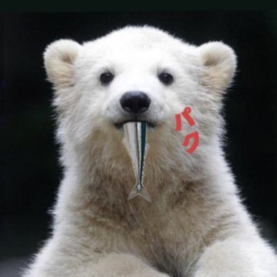Sorry, I'm not sure how to use Twitter. ツイッターを始めたころ、使い方がよくわからなかったのです。でも、今もよくわかってません。10年ほどイギリスに滞在しました。旅好き、犬好き、英国の田舎好きです。いいやまあかり党