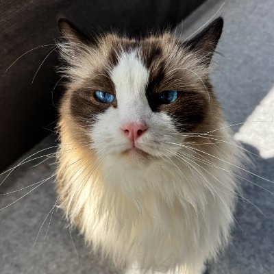 jongheon_lee's profile picture. 