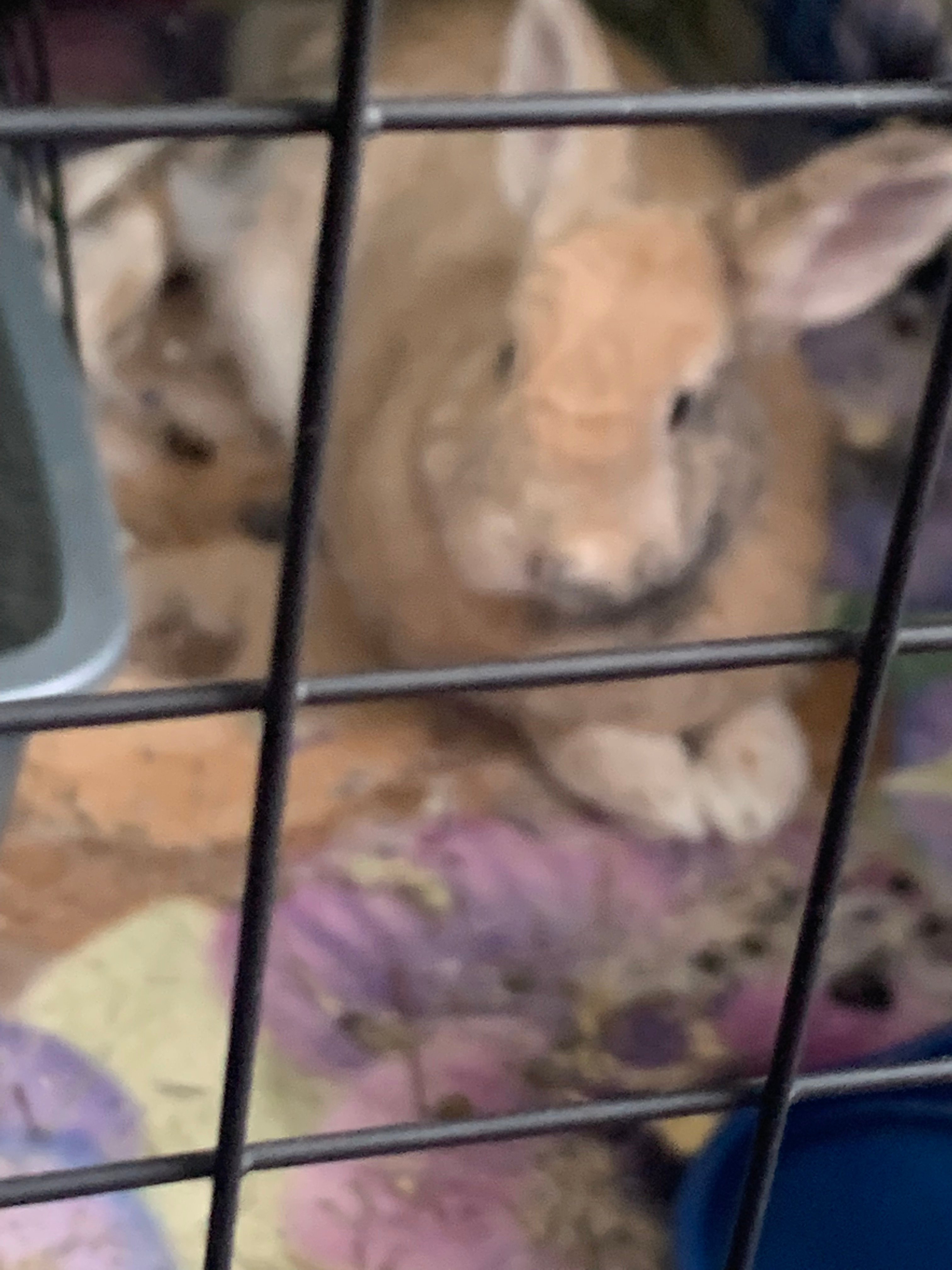 Hannahngb9's profile picture. 