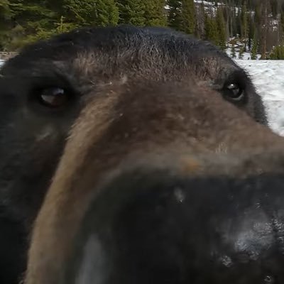 normal__person1's profile picture. 