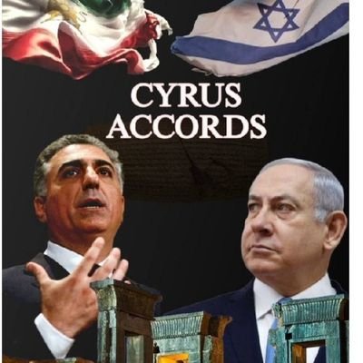 Nikan353496's profile picture. 