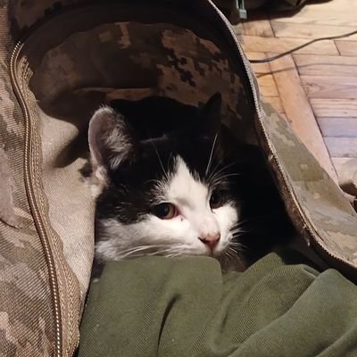 aladd1n54ane's profile picture. 