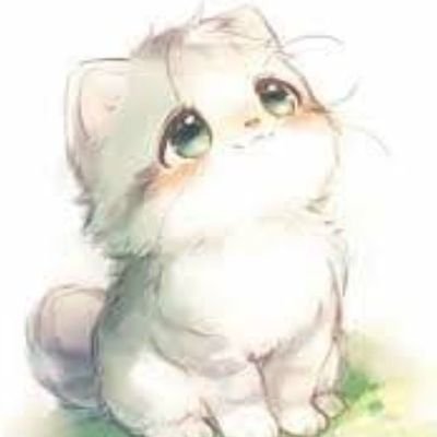 coco_20210527's profile picture. 