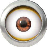 qos1mo (@gotfc_) 's Twitter Profile Photo