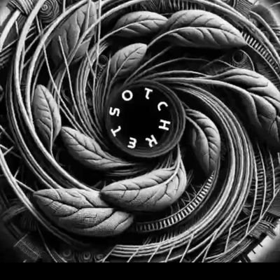 shamimsufi4's profile picture. 