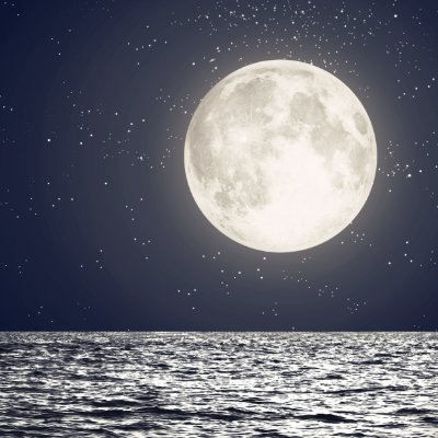 Not financial advice. Headed to the Moon.
$nbis $sofi $rklb $eose $open $btqqf $deft $clov $iren $cifr
$sbet $bmnr $ethm $ethz $mstr $tswcf $mtplf
$abcl $poet