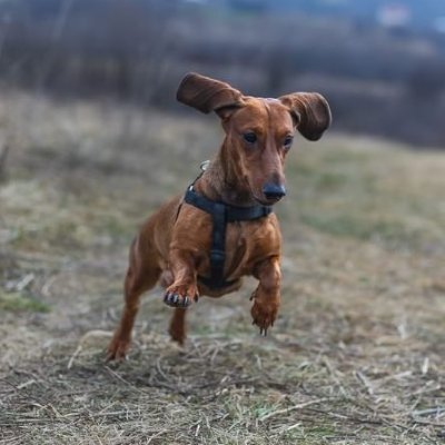 vision_pen42019's profile picture. Freeman