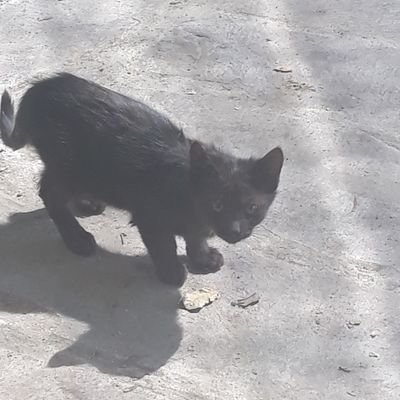 JuanLop19990297's profile picture. 