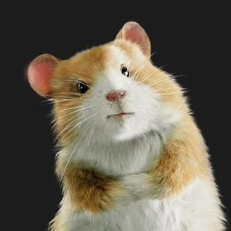 🦊 EN/FR 🇨🇭 • He/Him • 25 • Foxes • My posts don't necessarily reflect my opinions • Reposts of my memes are okay with credits • https://t.co/gx430Ig0d0 🦊