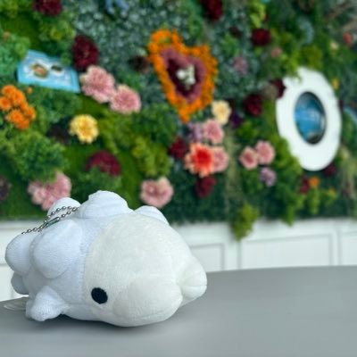 omochix8383's profile picture. ユキハミ バチンウニ ナマコブシ おもち組らぶ♡♡♡へたっぴ自己満足イラストたまに描きます。 主@momopipix #ポケモンgo #おもち組