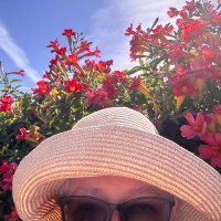Cath0618 🙋🏼💙🐶 (@harrigancath) 's Twitter Profile Photo Cath0618 🙋🏼💙🐶 (@harrigancath) 's Twitter Profile Photo