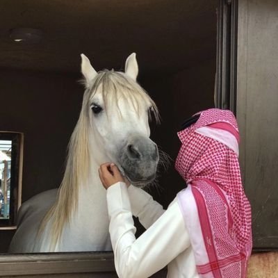 alshmry48853's profile picture. 