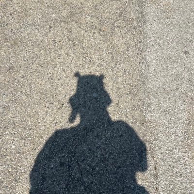 local comic enthusiast, pokemon professor, and walking safety hazard.