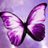 tokki0204's profile image