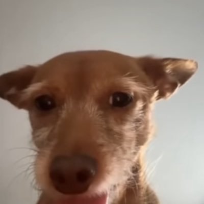 Mario_123o's profile picture. 