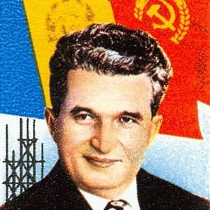 ioanivan3's profile picture. Electrician profesionist