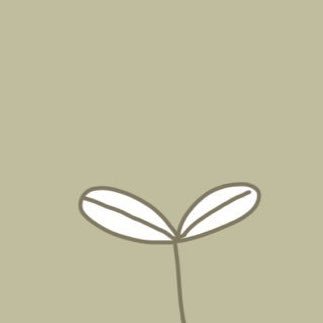 揚さんのプロフィール画像