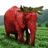 elBorde81's profile picture. Hola 
No nada