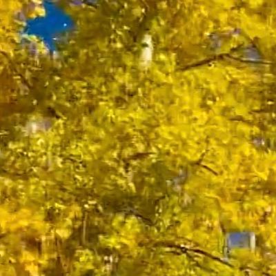 mggsta's profile picture. 