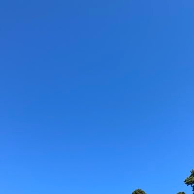 唐風さんのプロフィール画像