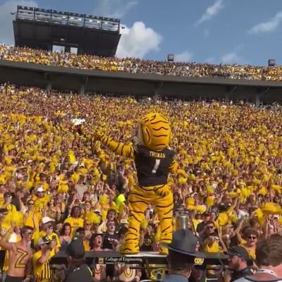 MIZSTL88's profile picture. MIZ. CARDS. BLUES