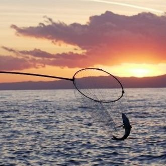 tutmo333's profile picture. あ