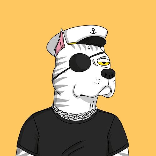 3doge3aniyah's profile picture. Experienced community manager// Looking for x1000 gems// Ama Consultant// Financial market trader// #Crypto #NFTs #DEFI #TA #FA