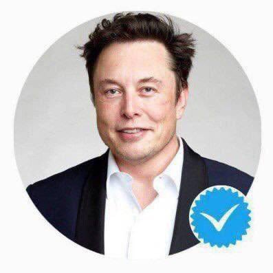 CEOTESLA082's profile picture. Congrats You Won Text Me Via The Link On My Bio