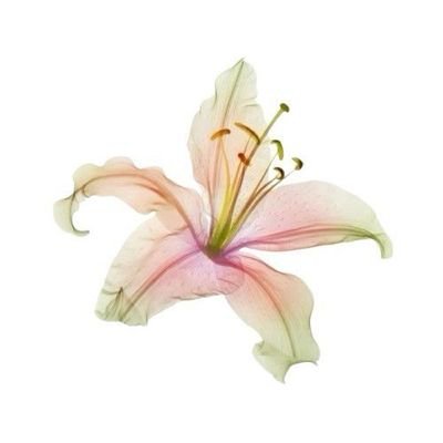 ✦🌺 piloted by Wylde. welcome, wylde one! queer-friendly tarot and divine readings personalized for you. 🪐 chat langsung → https://t.co/dCg7IXr20n