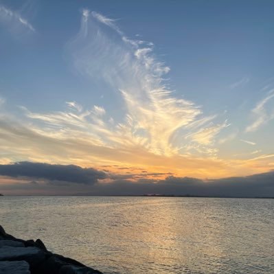 zondonne's profile picture. As boundless as the sea and sky
