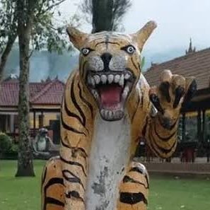 bjirlah16's profile picture. 2025: juara 1 excited sendirian.
2026: excited barengan.