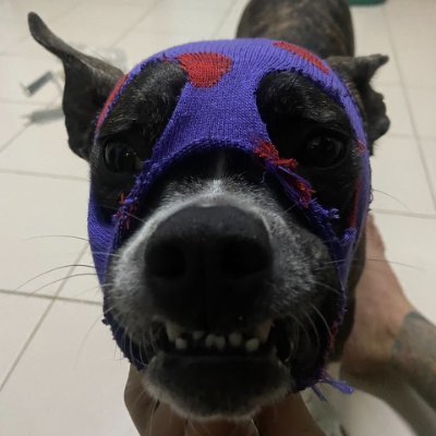 nonchakhiao12's profile picture. 