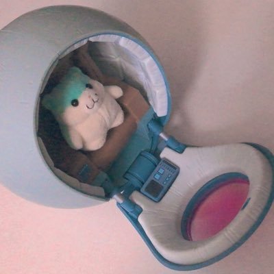 あめのかわいいかぞくをみせびらかすだけのアカウント📸👪 / → 🐹🩵ひすい 2024.1.21〜