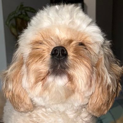 HeadspaceHats's profile picture. Small Business Owner