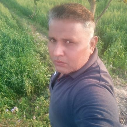 singal_kar47430's profile picture. 
