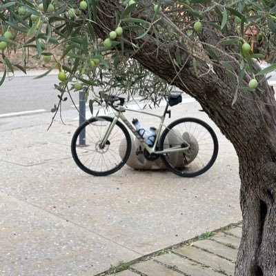 jaumefer's profile picture. 