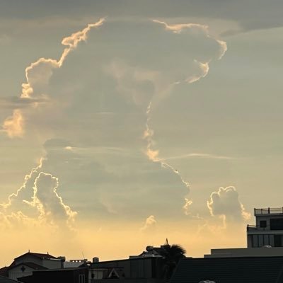 Ometa98496642's profile picture. 