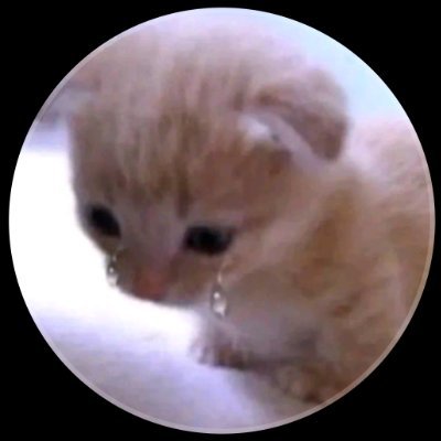 dearjunegirl's profile picture. half child, half ancient