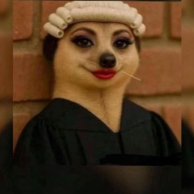 iammuele's profile picture. 