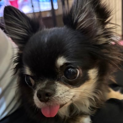 vw_tre's profile picture. 