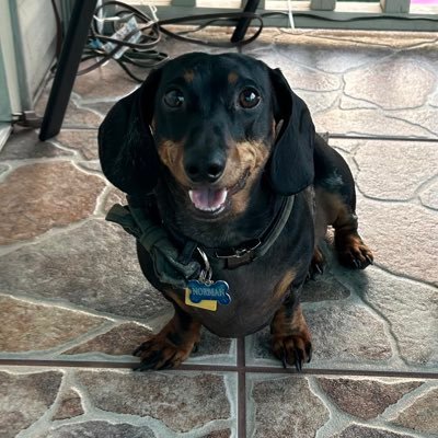 monicam55's profile picture. One day at a time