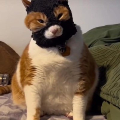 luong_tuon28968's profile picture. 