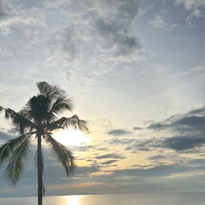 JO3_dog's profile picture. 