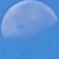 gomisukesuke's profile picture. 黙れ俺